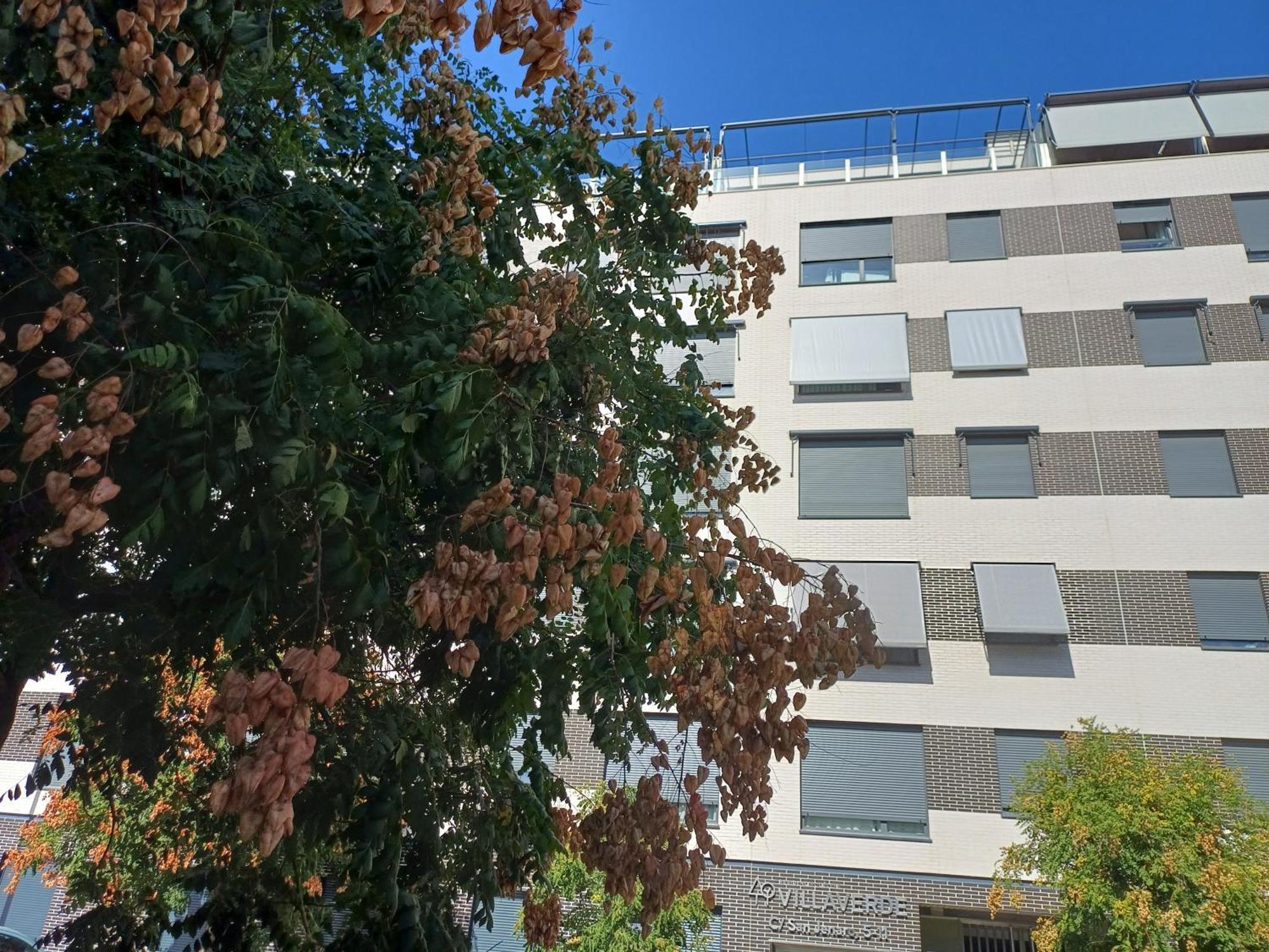 Estudios Nuevos Madrid Centro Exterior photo